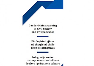 Gender Mainstreaming in Civil Society and Private Sector